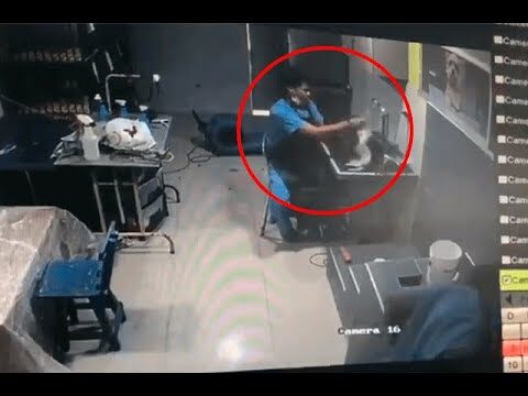 Veterinario en Barranquilla pierde la vista tras ataque de perro bull terrier