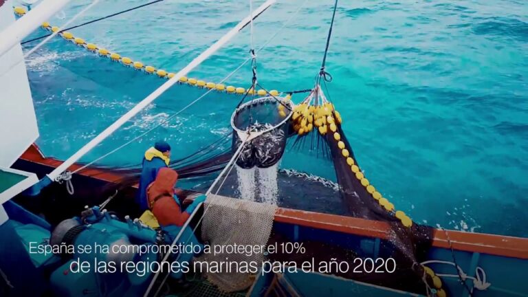 Ram&oacute;n de la Figuera Morales, nuevo director de Pesca Sostenible