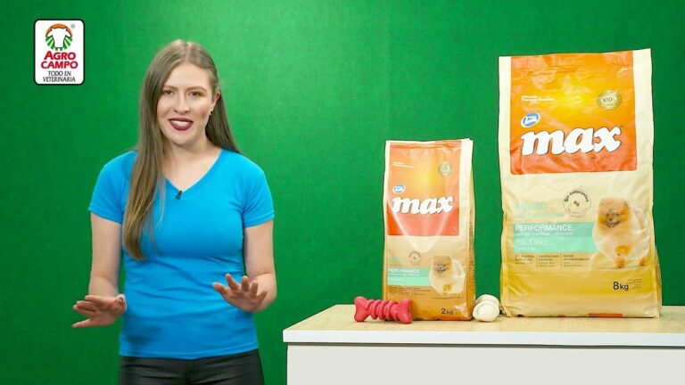 Razas peque&ntilde;as: Conoce las mejores para ti