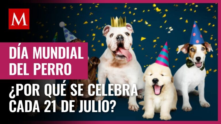 Burger King consentir&aacute; a los perros chihuahuenses en su D&iacute;a con regalos y servicios veterinarios