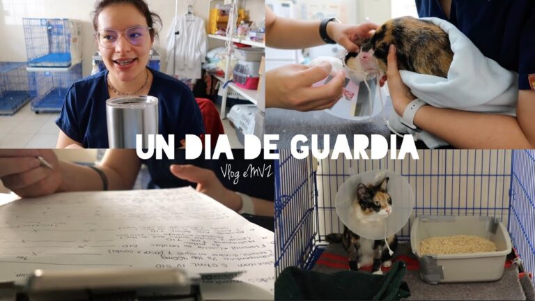 La Guardia Veterinaria en la Feria Rural Argentina