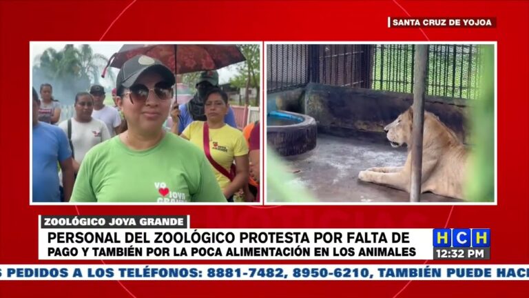 Recuperación sorprendente de 185 animales del zoológico Joya Grande