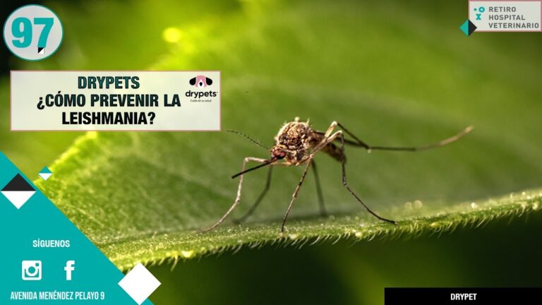 un avance vital en el tratamiento