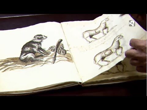 Casa de Ganaderos destaca en la Semana Internacional de los Archivos | Portal Veterinario