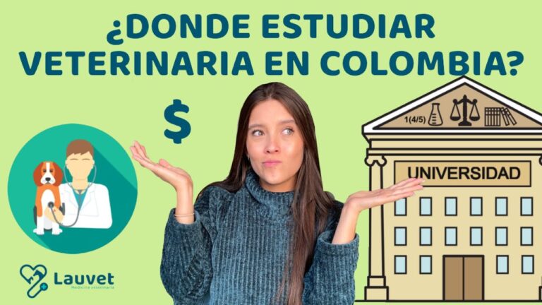 &iquest;D&oacute;nde trabajar como veterinario en Colombia? Oportunidades para nuevos graduados