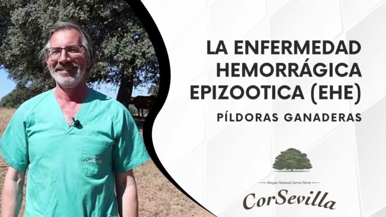 Nuevos casos en Baltan&aacute;s y Herrera de Pisuerga - Actualizaci&oacute;n de ASAJA Palencia