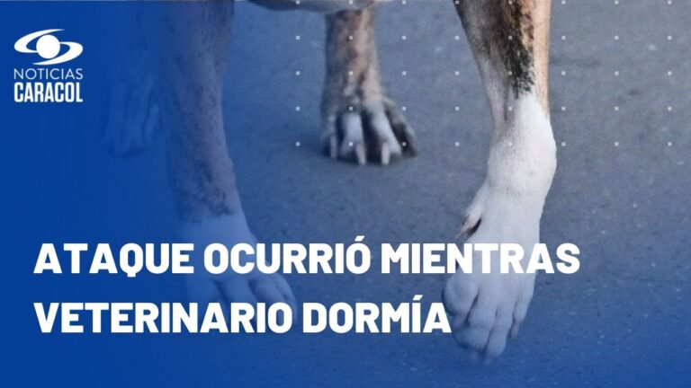 Veterinarios colombianos viajan a Espa&ntilde;a para descubrir la raza Murciano-Granadina