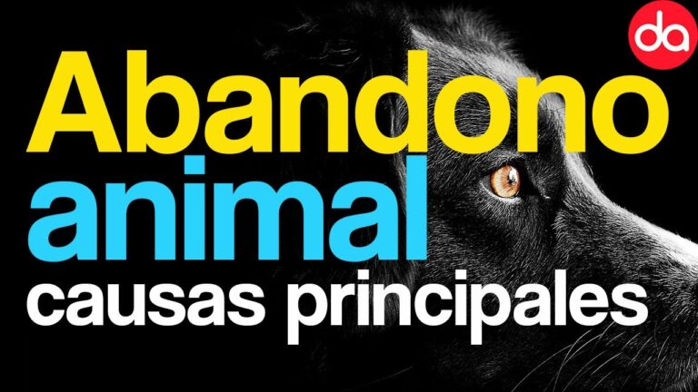 un riesgo para su bienestar y aumento del abandono