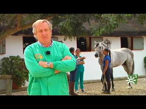 Veterinario se quita la vida tras acoso en redes sociales