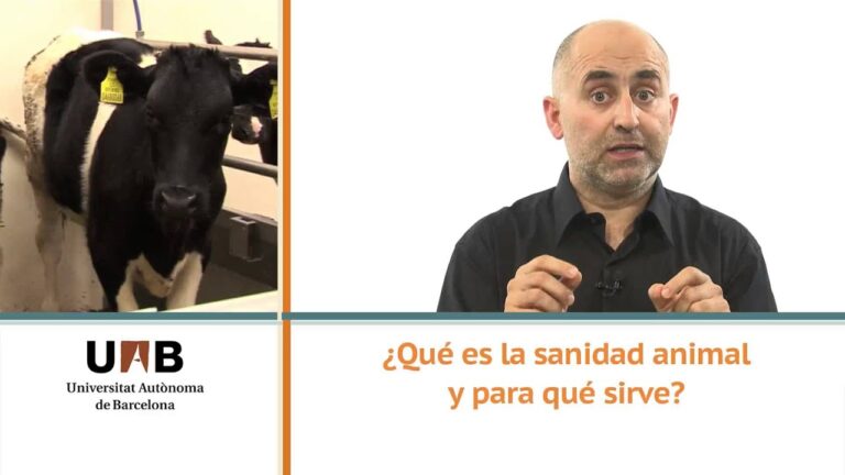 Top 10 Avances en Salud Animal y Veterinaria para 2024