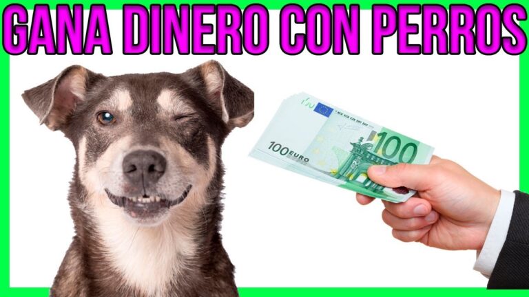 denuncias y estafas en criaderos