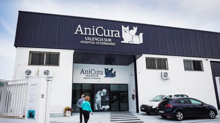 Veterinarios de Valencia piden al gobierno regional reformar leyes para la venta de medicamentos sin receta