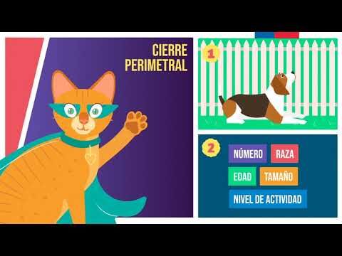 &iexcl;&Uacute;ltima oportunidad! Participa en el concurso de fotograf&iacute;a sobre mascotas y gana fabulosos premios