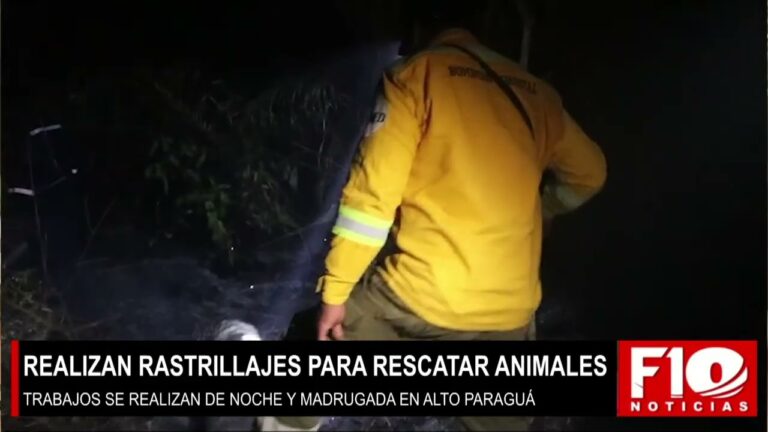Vuelos Gratuitos para Veterinarios y Bi&oacute;logos que Ayudan a Animales Afectados por Incendios