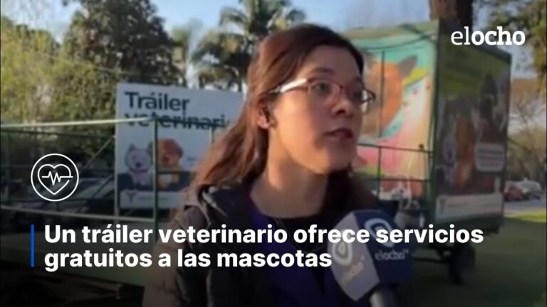 &iexcl;Atenci&oacute;n gratuita para tus mascotas en Plaza Nougu&eacute;s! Agenda tu castraci&oacute;n y aprovecha vacunaci&oacute;n y desparasitaci&oacute;n sin costo