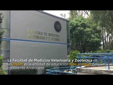 Facultad de Medicina Veterinaria y Zootecnia de la UNAM, a un paso de la reacreditaci&oacute;n nacional e internacional