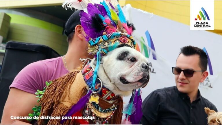 &iexcl;Cuida a tu mascota y divi&eacute;rtete! Campa&ntilde;a veterinaria y concurso de disfraces reciclados en Bosque M&aacute;gico