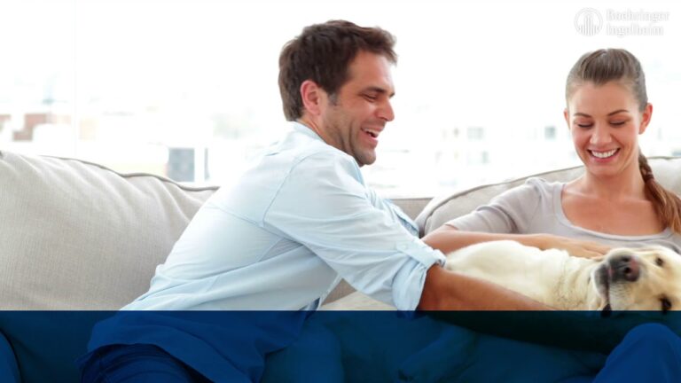 Temas Clave de Boehringer Ingelheim en el Congreso Anaporc