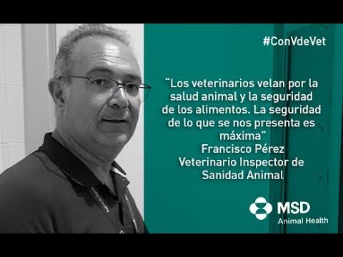 Preocupaci&oacute;n por un Modelo de Inspecci&oacute;n Mercantilista