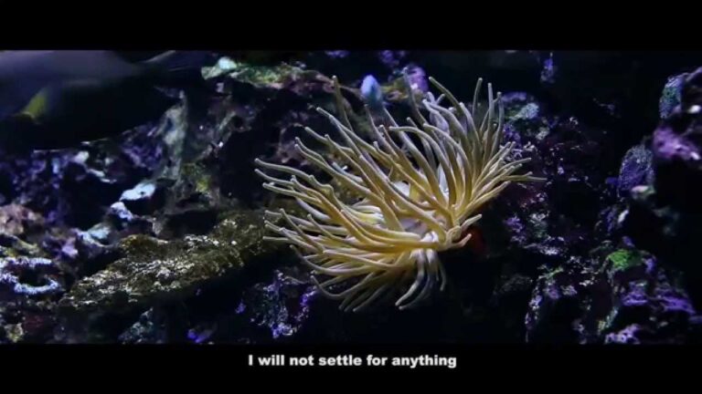 &iexcl;Oportunidad Laboral! La ULPGC Busca Urgente Personal para el Hospital Cl&iacute;nico Veterinario