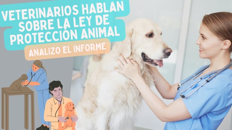 Regulaci&oacute;n de ATV en el Sector Veterinario para Mejorar la Formaci&oacute;n Profesional