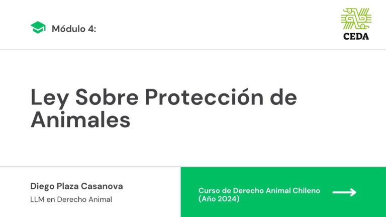 Atenci&oacute;n Permanente para tus Mascotas