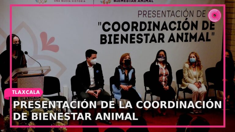 Cuida la Salud de Tu Mascota con la CBA