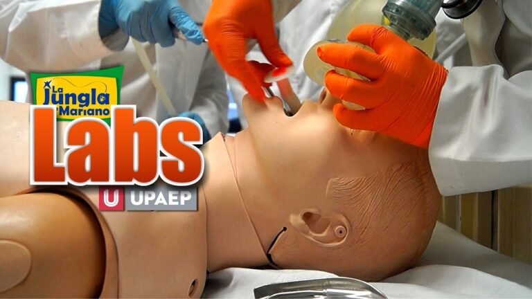Un Acuerdo para Transformar la Formación de Veterinarios