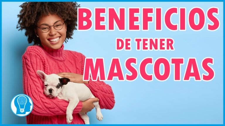 M&aacute;s all&aacute; de lo evidente