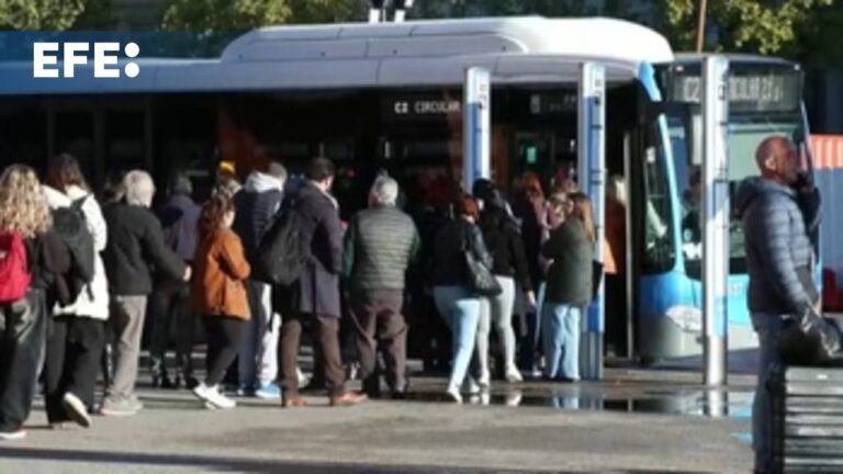 18 Veterinarios de Toledo Renuevan su Formación en Caza para Garantizar la Seguridad Alimentaria