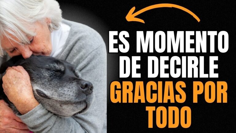 Un Enfoque desde los Estudios Cr&iacute;ticos de la Discapacidad