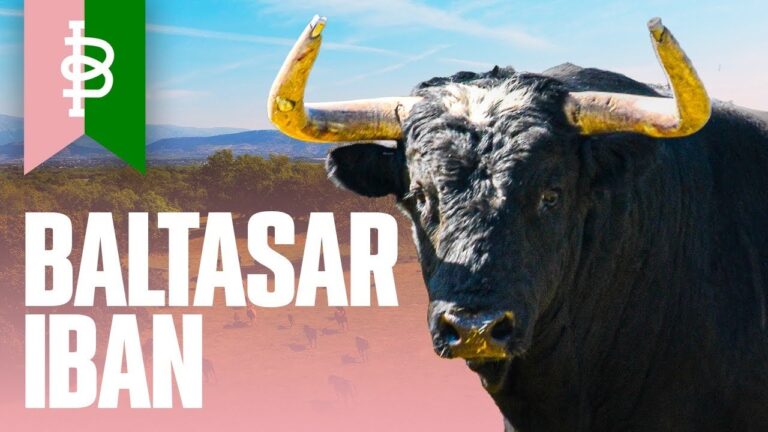 El Toro de Baltasar Ibán Reconocido en el XXXVI Trofeo Taurino de España