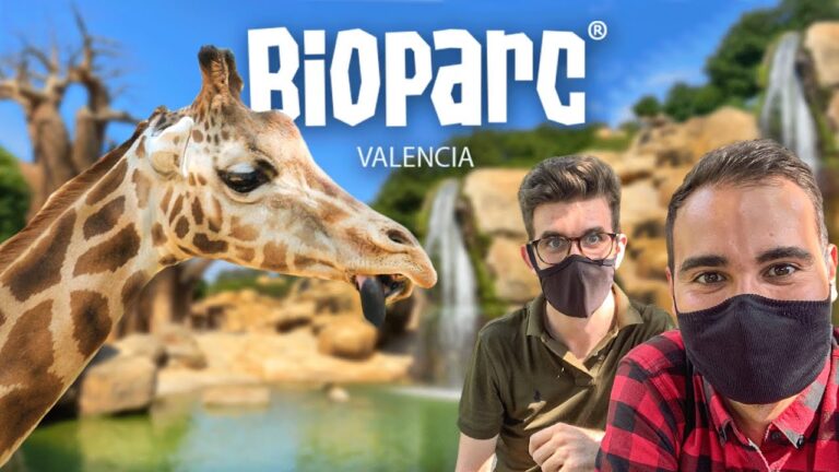 Bioparc lanza punto de recogida para ayudar a animales en refugios
