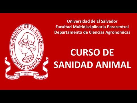 Clave para la Seguridad Alimentaria y el Bienestar P&uacute;blico