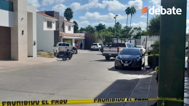 Servicios Veterinarios Asequibles en Culiac&aacute;n por la Uni&oacute;n Ganadera de Sinaloa