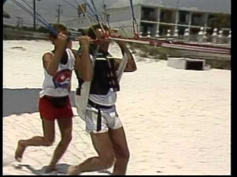 Colaboraci&oacute;n para Potenciar la Profesi&oacute;n Veterinaria