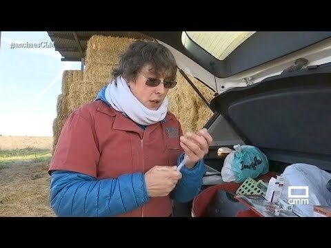 Pilares de la Salud Animal y Seguridad Alimentaria en Castilla-La Mancha