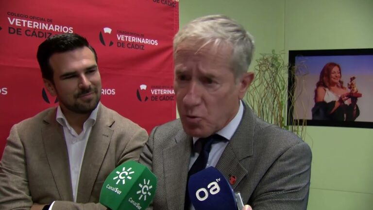 Salud y Sostenibilidad en C&aacute;diz