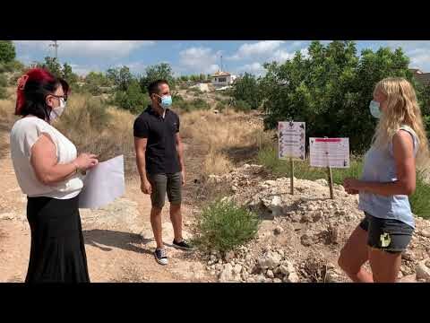 Control de Colonias Felinas y Bienestar Animal en Huelva