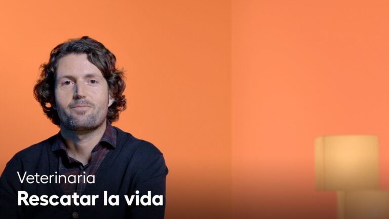 Pilar Fundamental para la Salud P&uacute;blica y el Bienestar Global