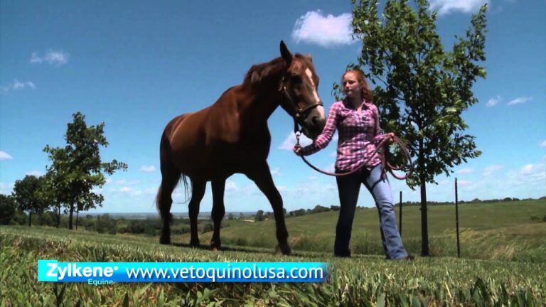 Innovaciones para Veterinarios