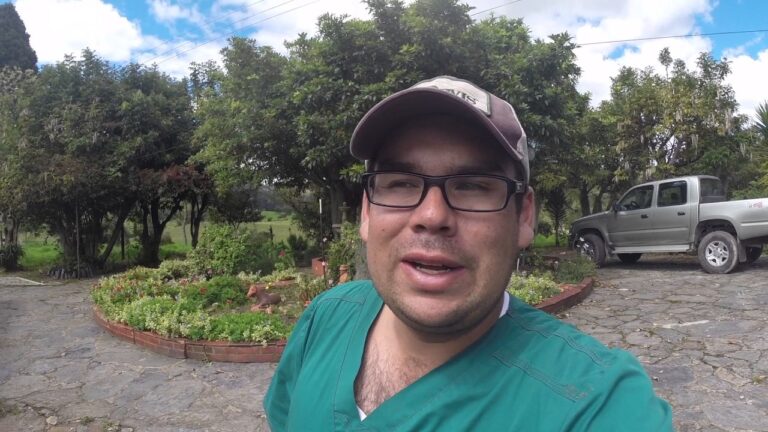 Veterinarios Opinan sobre Tratamientos Selectivos para el Secado de Ganado Lechero