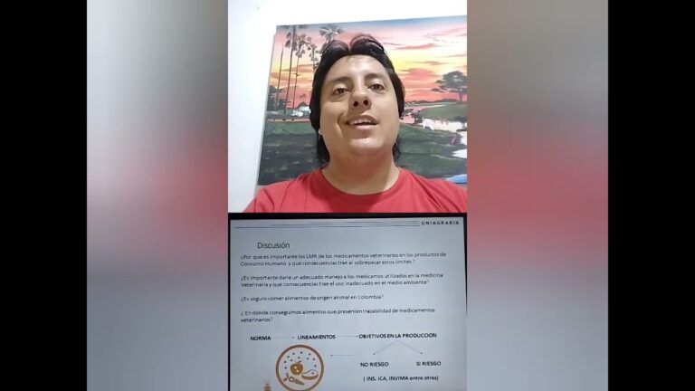 Actualizaciones de Octubre 2024 para Perros