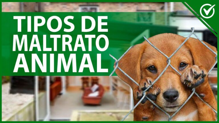 Un Llamado a la Reflexión