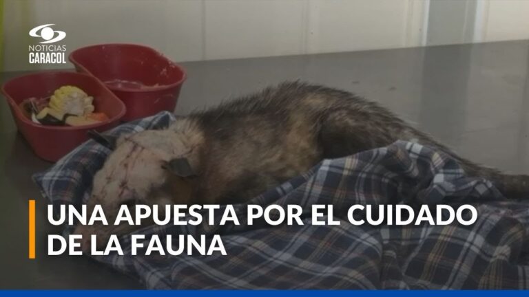 Un Espacio Innovador para la Salud y Educación