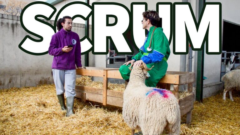 Estudiantes de Veterinaria de Zaragoza presentan cinco casos cl&iacute;nicos destacados en rumiantes