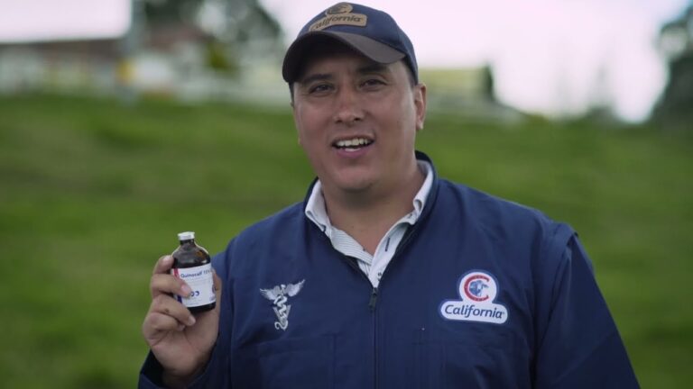 Veterinarios Opinan sobre Terapias Selectivas para el Secado en Ganado Lechero