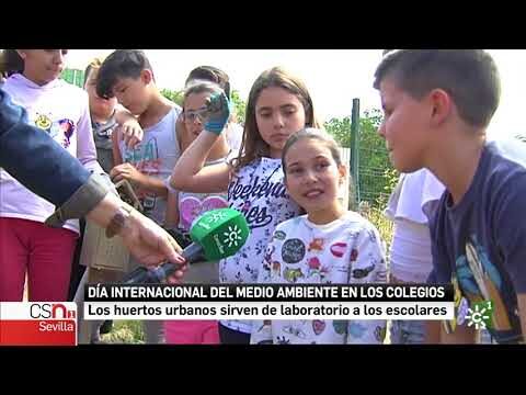 Protocolo conjunto en Sevilla para combatir el intrusismo profesional en salud