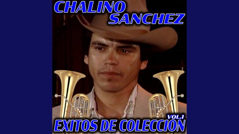 Innovaciones en el Manejo de Heridas para Veterinarios