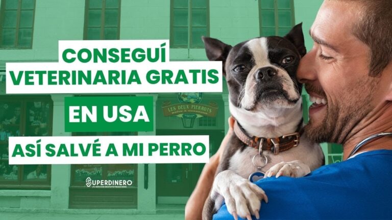 Roma inaugura la primera clínica veterinaria social para mascotas vulnerables